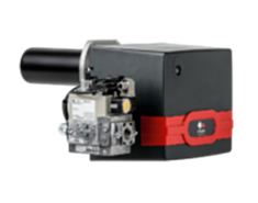 blog post with nivo slider gallery